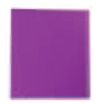 Letter Size 12 Page Presentation Book with Frosted Grape Purple Cover